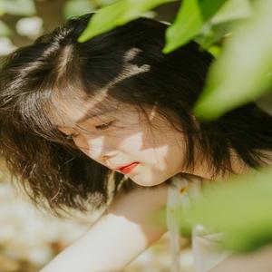 庄修敏