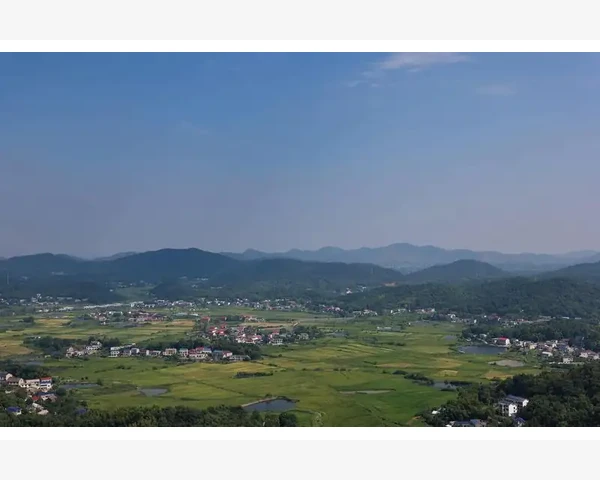 中医秘方：食疗疗肺、化痰、止汗，健康生活的幕后神器！